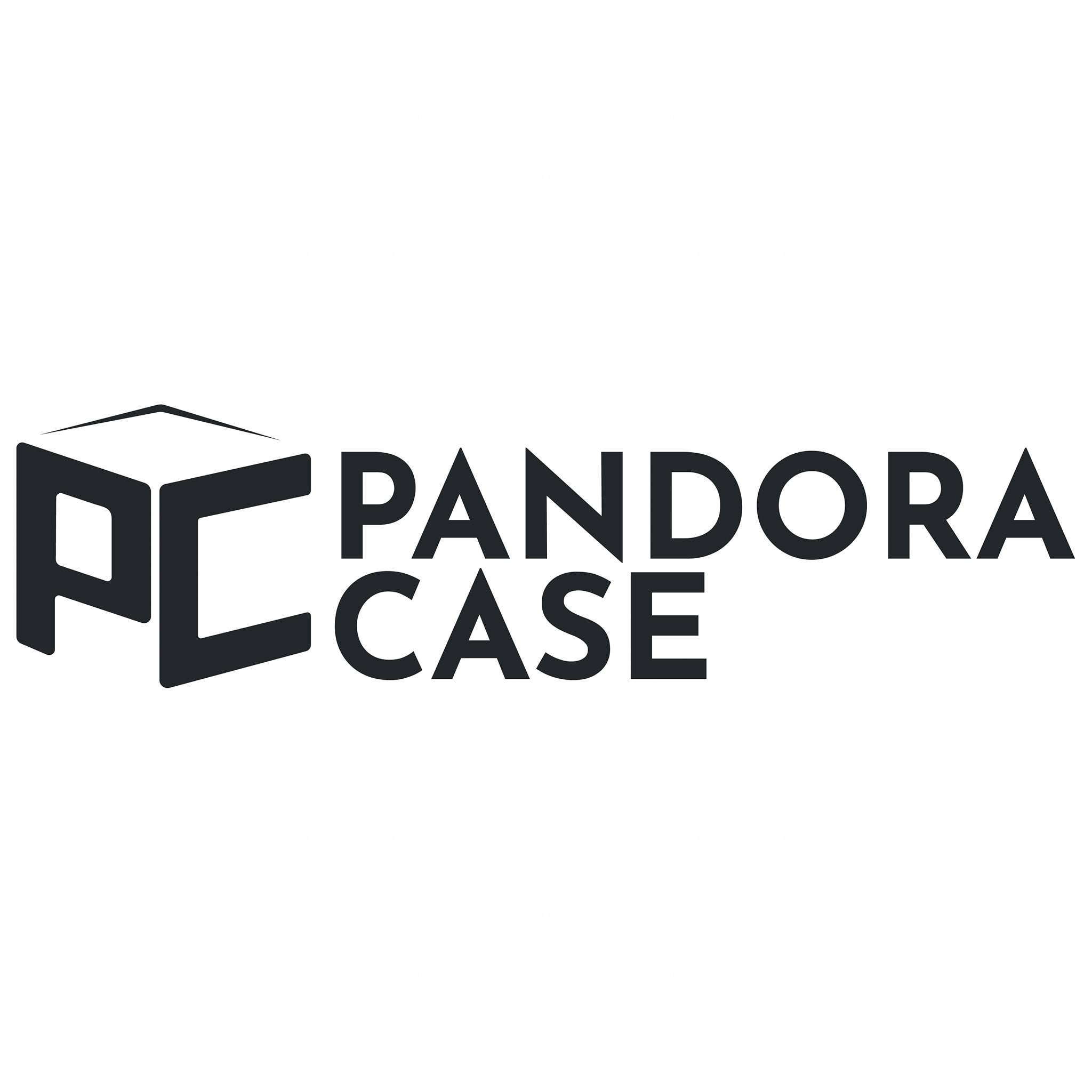 pandora case pandora case